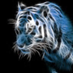 Meet your Posher, Sami